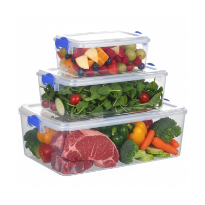 Bộ 3 hộp lạnh nhật nhựa VIỆT NHẬT 6695 - Trong suốt, có nắp, đựng thực phẩm tủ lạnh