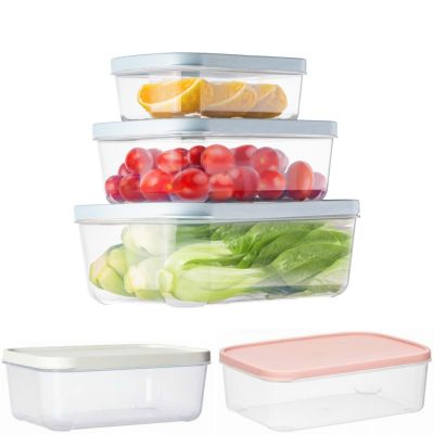 Bộ 3 hộp thực phẩm chữ nhật HOKORI 6533 - Trong suốt, nắp kín, đựng đồ ăn tủ lạnh
